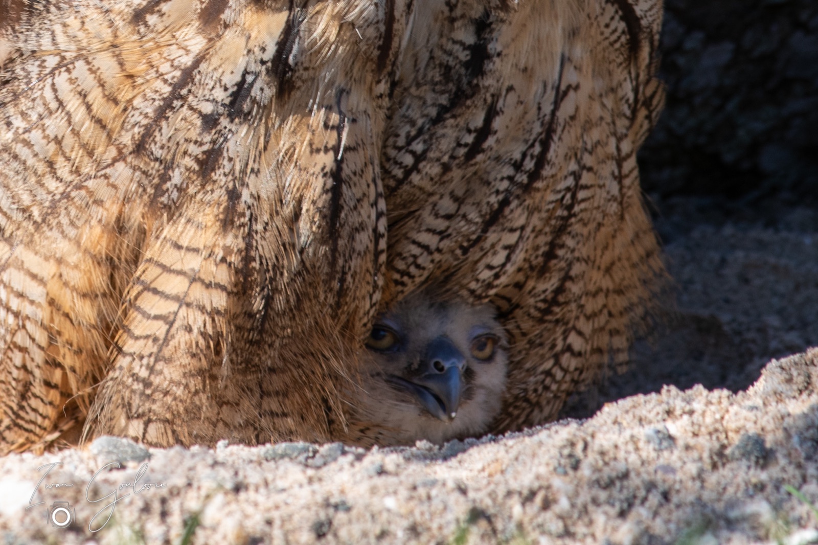 18 april 2022 100828 1DX49216